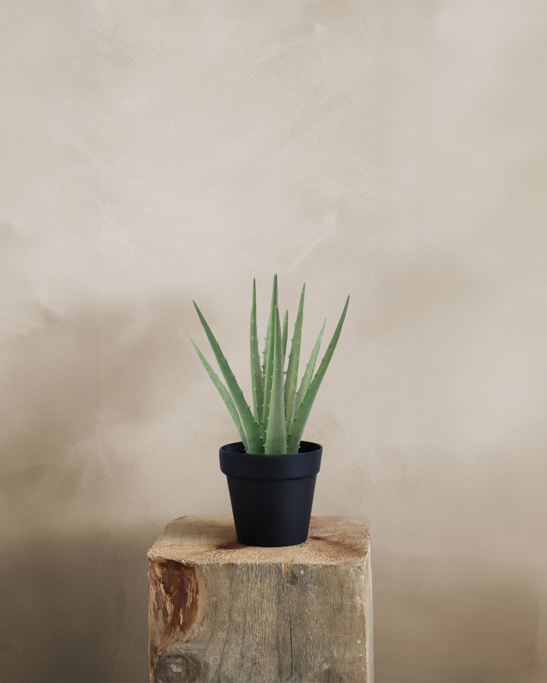 ALOE VERA EN POT, VERT, 10½" artificiel