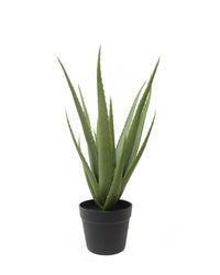 ALOES EN POT, VERT, 19¾" (Plante artificielle) - 815-010