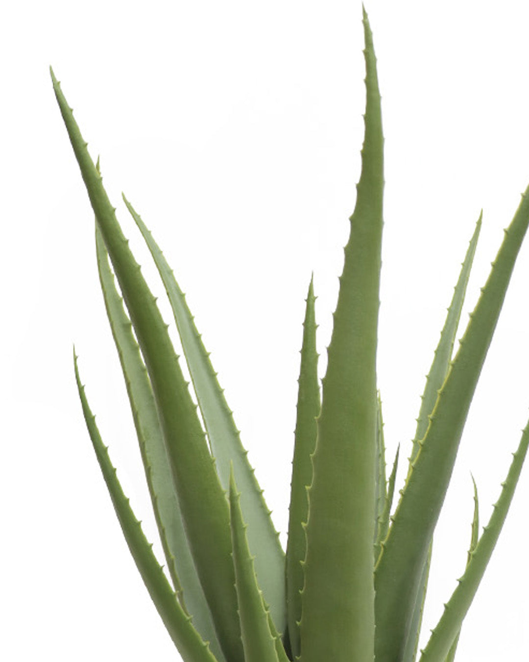 ALOES EN POT, VERT, 19¾" (Plante artificielle) - 815-010