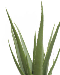 ALOES EN POT, VERT, 19¾" (Plante artificielle) - 815-010