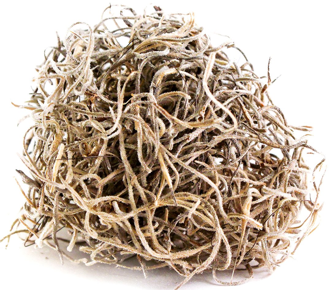 Mousse espagnol préservé - Super Moss Boite 2 pied cube