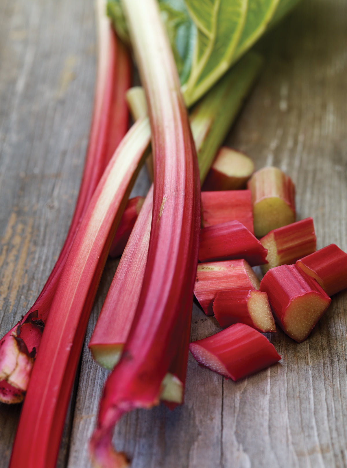 Rhubarbe rose en pot - Strawberry Red