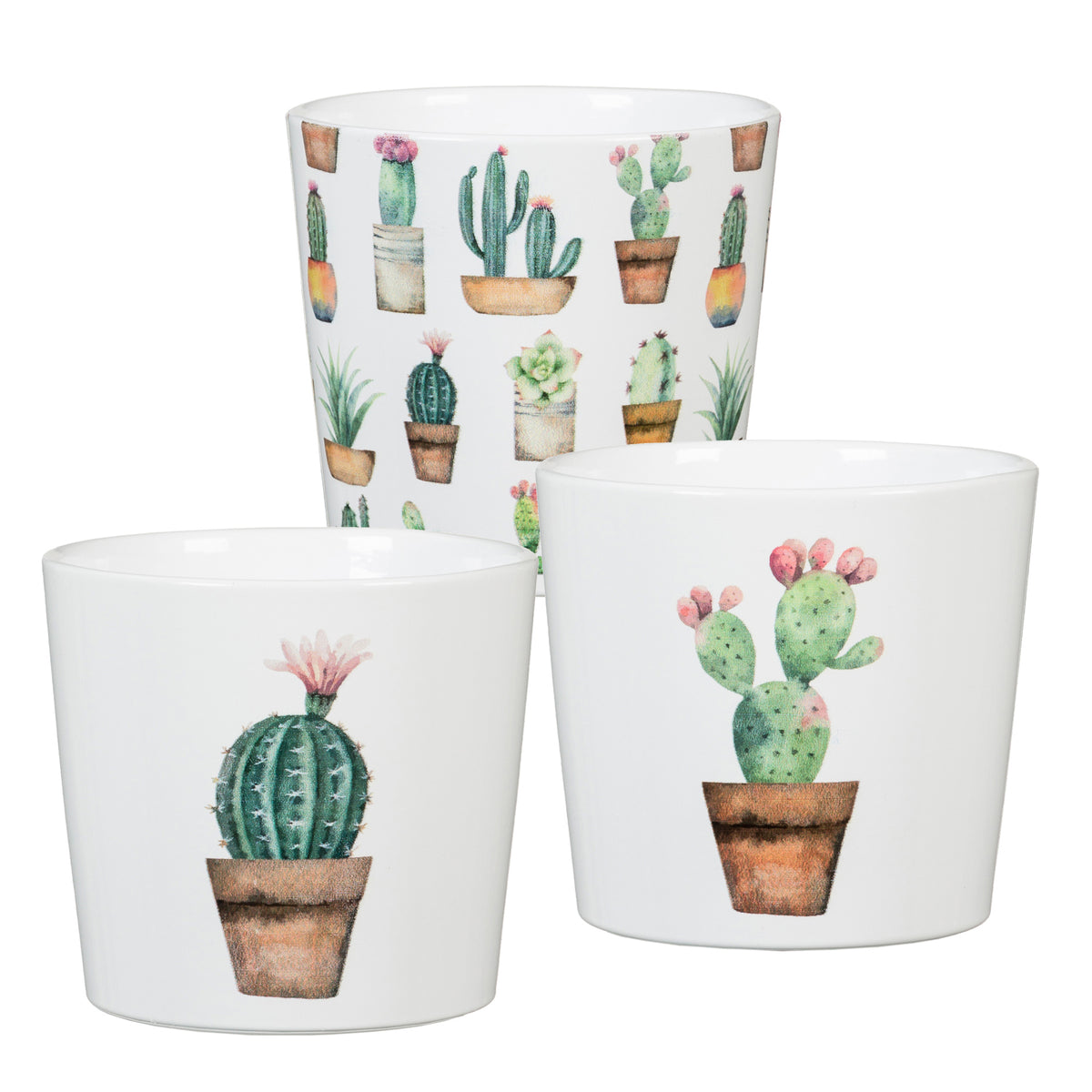 Cache pot avec Cactus céramique 7cm
