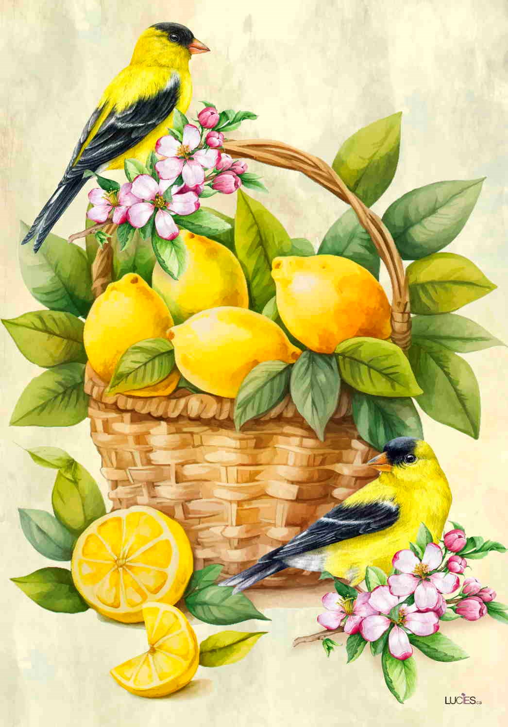 Drapeau Citrons et chardonnerets/Lemons and Goldfinches
