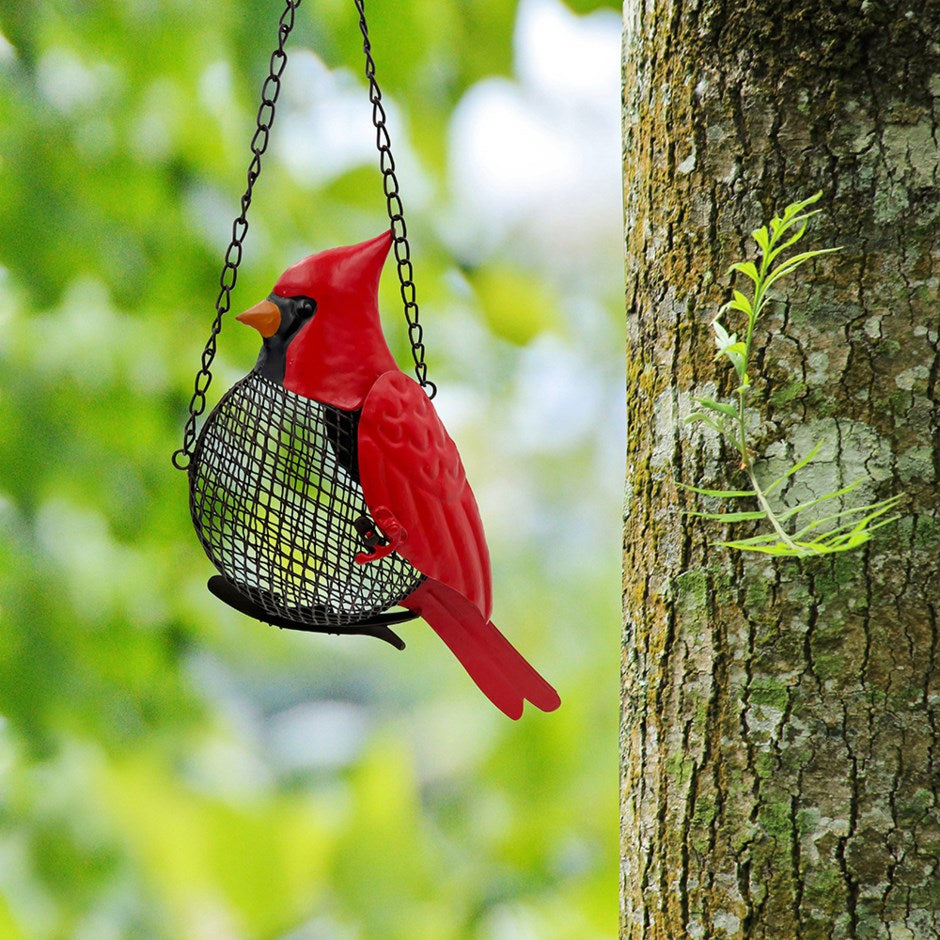 Mangeoire à oiseaux cardinal suspendue en métal