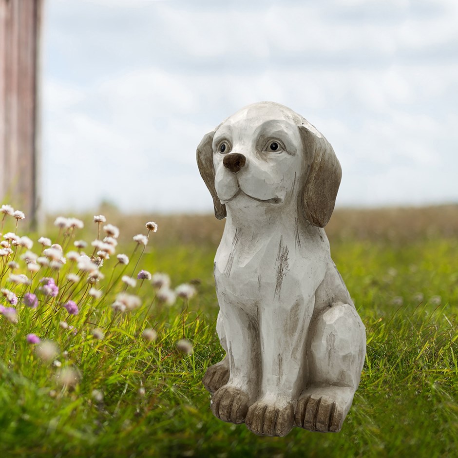 Décoration de chien lavée en blanc