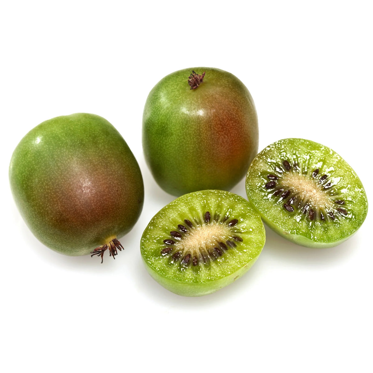 Actinidia Arguta Meader - kiwi mâle