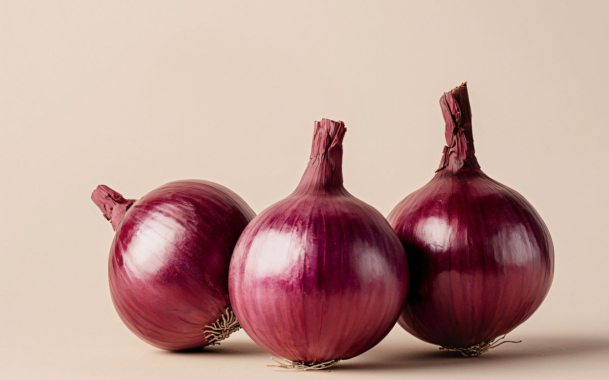 Red onions (COMRAD) in bulk - onion
