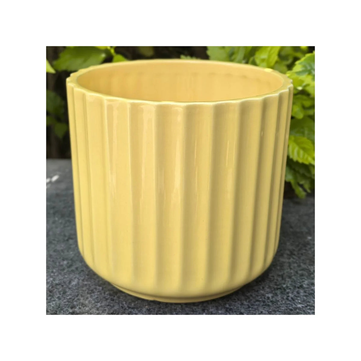 Pot en dolomite jaune brillant côtelé, 11,9 cm de diamètre x 10,9 cm de hauteur (convient aux pots de 10,2 cm) - CE00-375