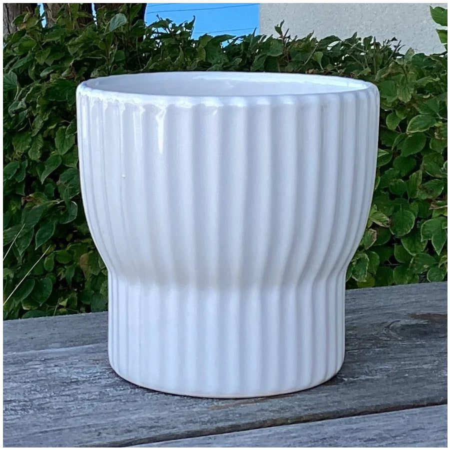 Conteneur brillant blanc de 5" DX4,8" H