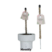 Tuteur flexible - Mossify