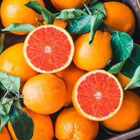 Citrus Red navel Orange (Cara Cara) - Oranger