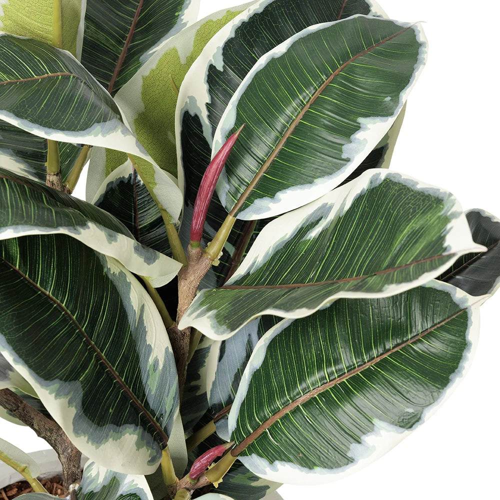 Ficus Tineke artificiel