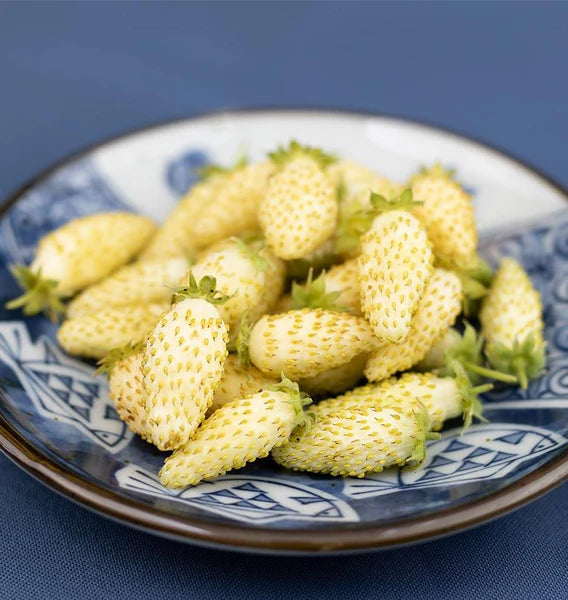 Seed - Strawberry Yellow Wonder - West Coast Seeds