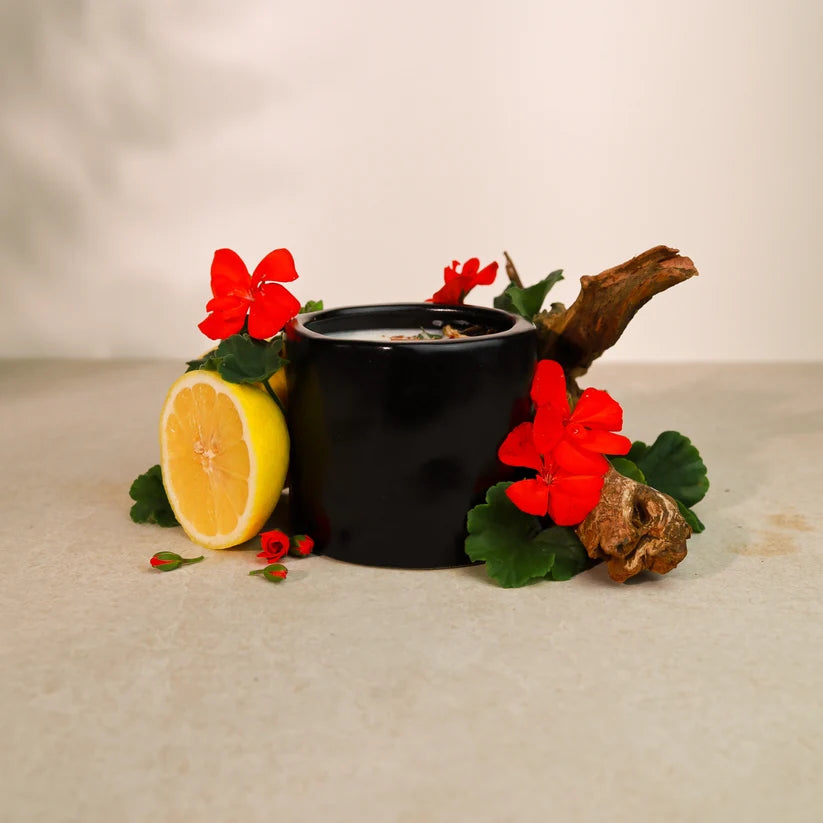 Bougie - Fraicheur Boisé | 11 oz - Laura Moore