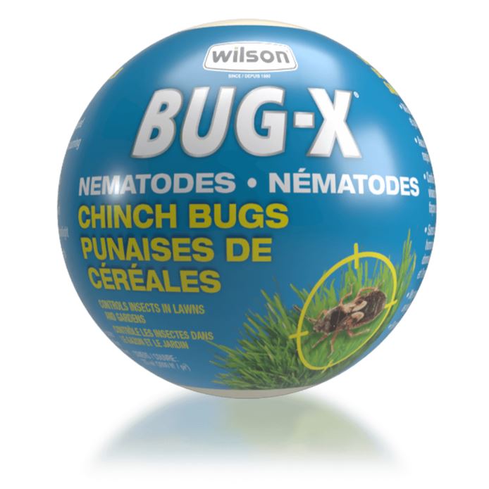 WILSON Bug-X Chinch Nématodes