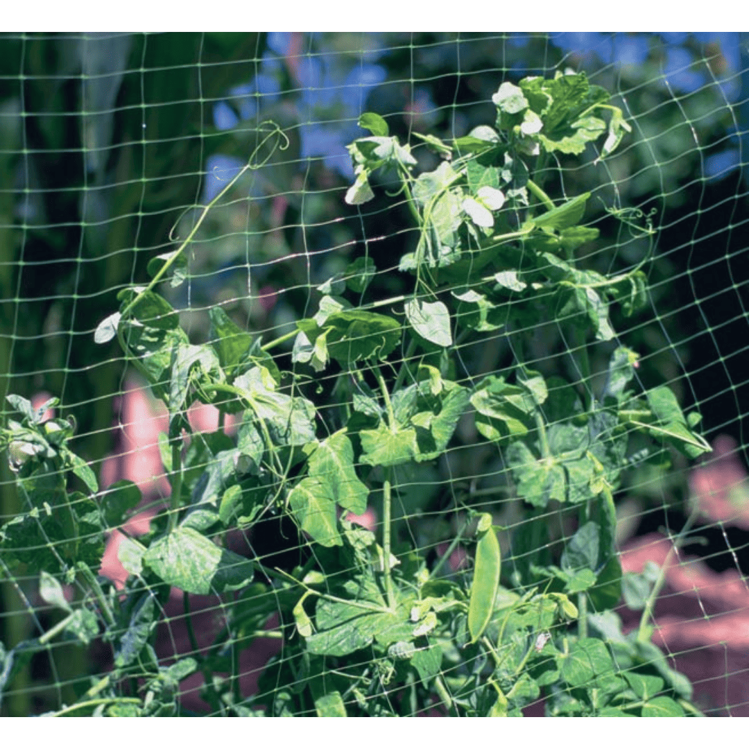 Outdoor Filet Net Filet jardin - american nettings & fabric - 6' x 50' – FleurExcel Inc.