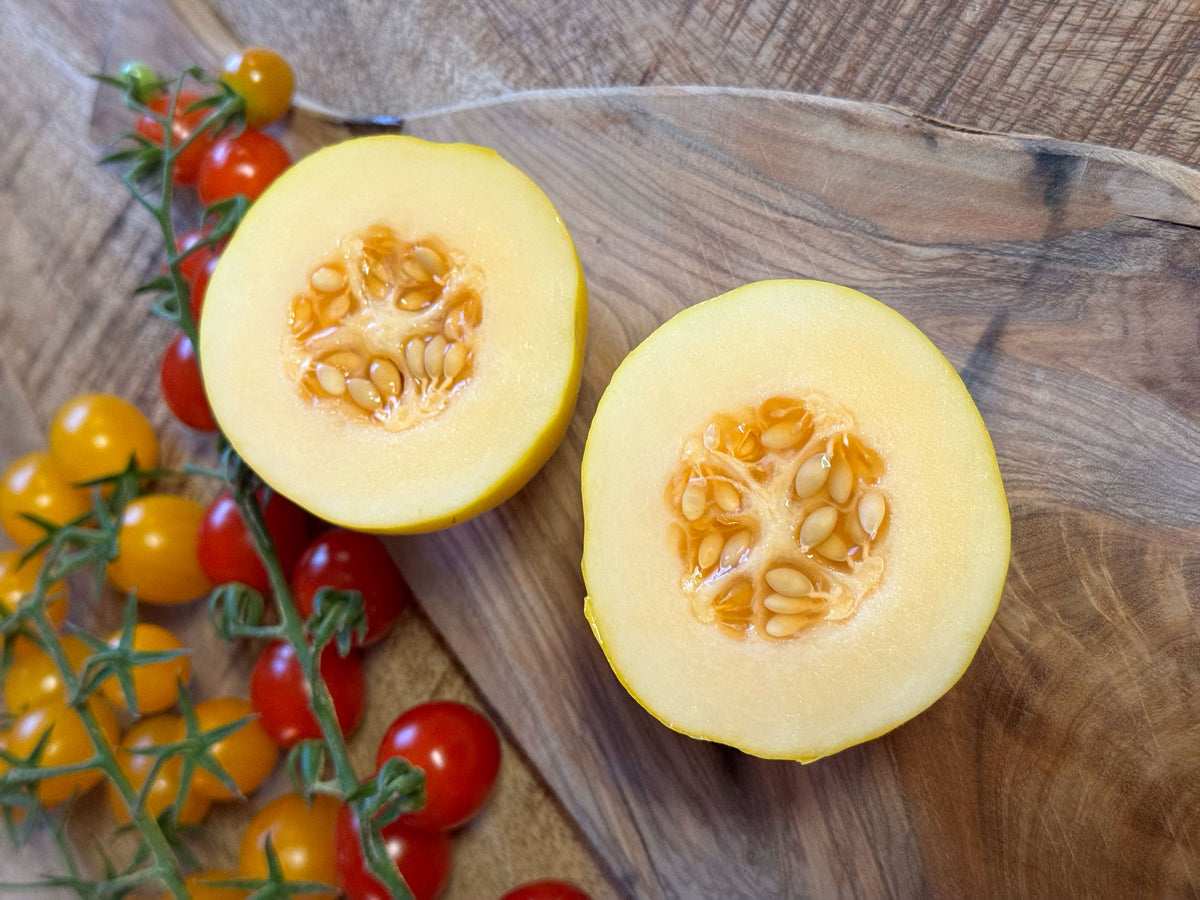 Honeydew Melon / Honey Drops F1 Dara in pot