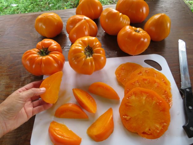 Semence - Tomate orange strawberry - Le potager ornemental de Catherine