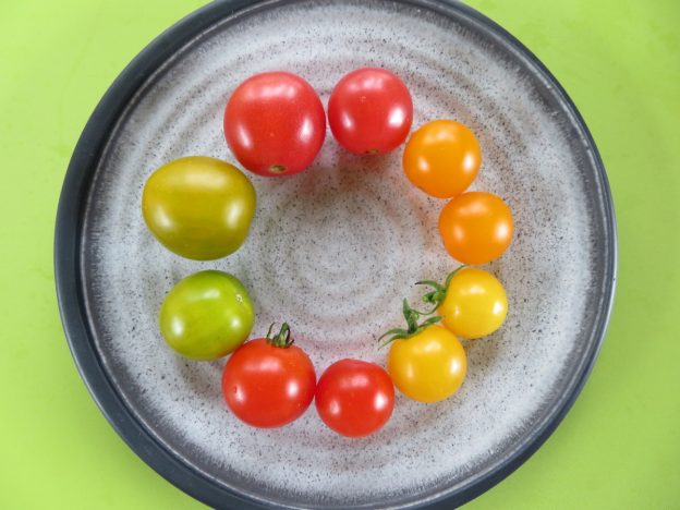 Sachet de semence - Tomates micro mix – Le Potager ornemental de Catherine