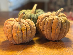 Seed - 'Futsu' Black Squash - Portage Seeds