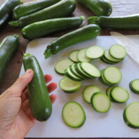 Seed - Mixed green zucchinis - Catherine's ornamental vegetable garden