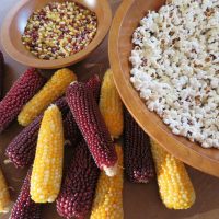 Seed - Fireside Corn - Catherine's Ornamental Vegetable Garden