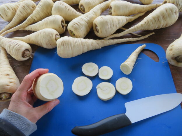 Seed - Parsnip 'Tender and True' - Catherine's Ornamental Kitchen Garden