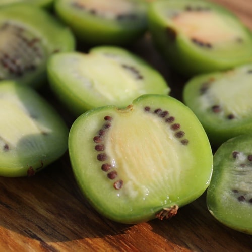 Actinidia Arguta 'Chung Bai' (Changbai) - Kiwi Femelle