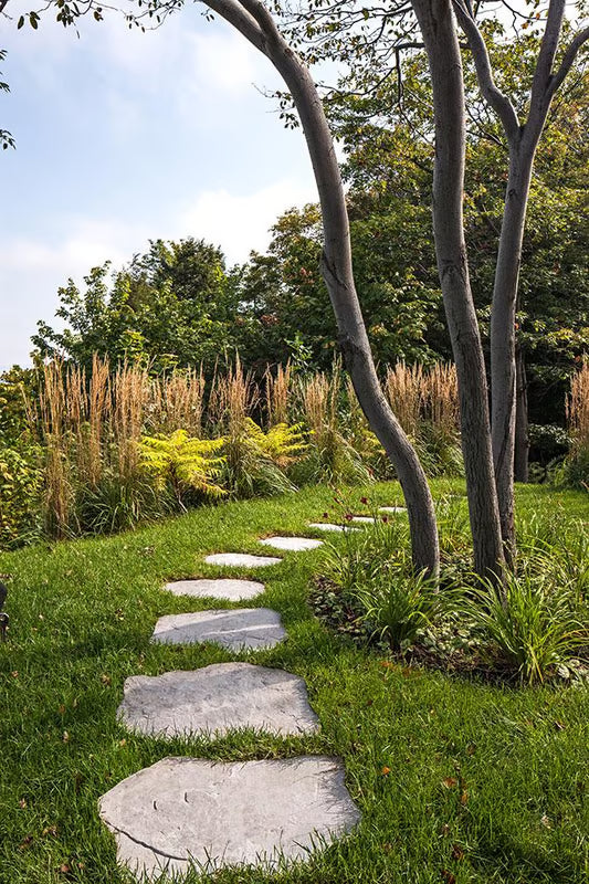 Dalles Maya - Techo Bloc