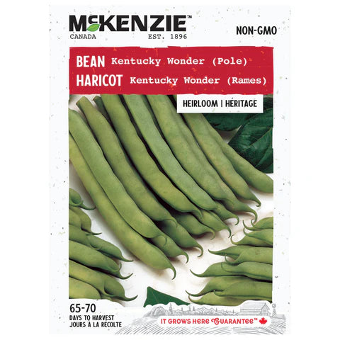 Semence - Haricot Kentucky wonder (rames) - Mckenzie