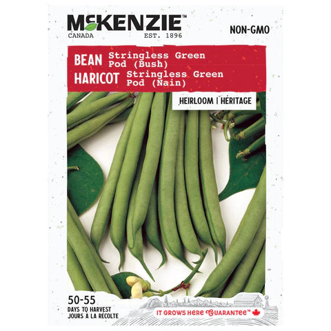 Semence - Haricot Stringless green pod (nain) - Mckenzie