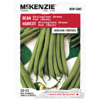 Semence - Haricot Stringless green pod (nain) - Mckenzie