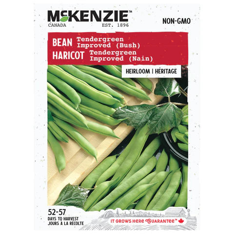 Semence - Haricot Tendergreen improved (nain) - Mckenzie