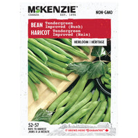 Semence - Haricot Tendergreen improved (nain) - Mckenzie