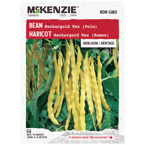 Semence - Haricot Neckargold wax (rames) - Mckenzie
