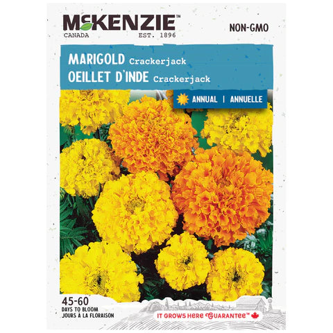 Semence - Oeillet d'inde Crackerjack - Mckenzie