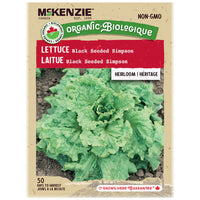 Semence - Laitue Black seeded Simpson - Mckenzie