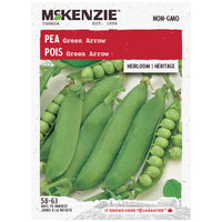 Semence - Pois green arrow - Mckenzie
