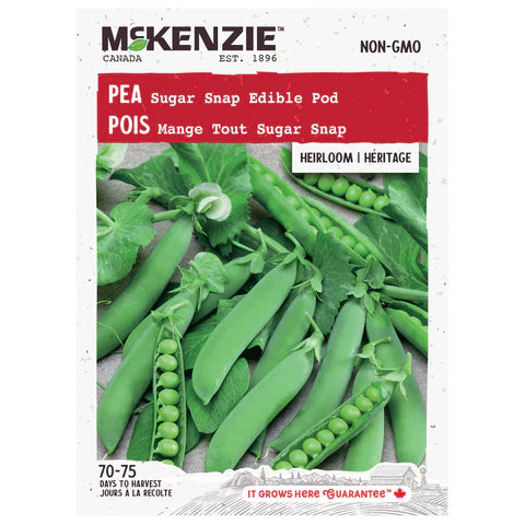 Semence - Pois mange tout sugar snap - Mckenzie