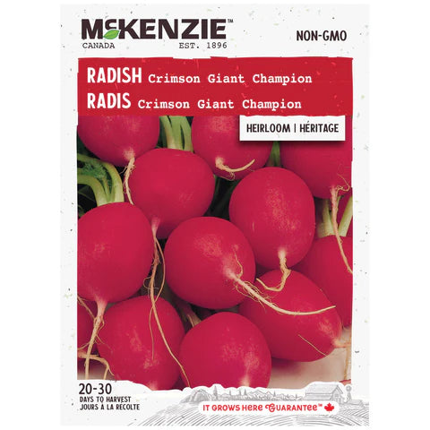 Semence - Radis Crimson giant champion - Mckenzie