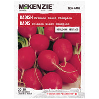 Semence - Radis Crimson giant champion - Mckenzie