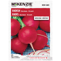 Seed - Radish German giant - McKenzie