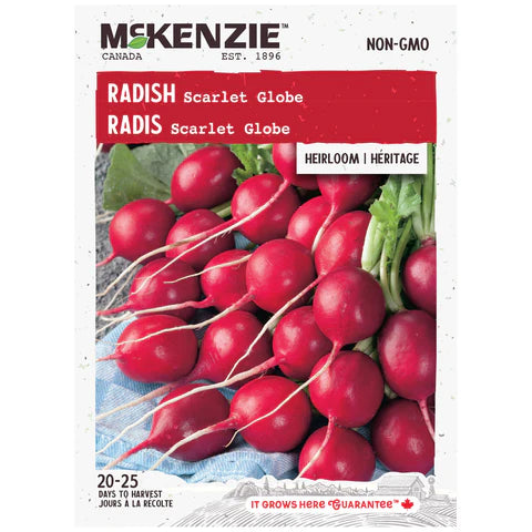 Semence - Radis Scarlet globe - Mckenzie