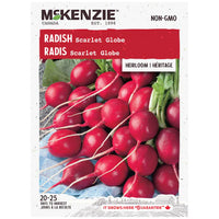 Semence - Radis Scarlet globe - Mckenzie