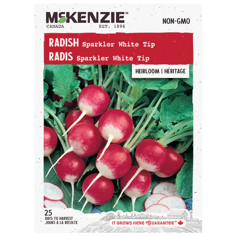Semence - Radis white tip - Mckenzie
