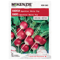 Semence - Radis white tip - Mckenzie