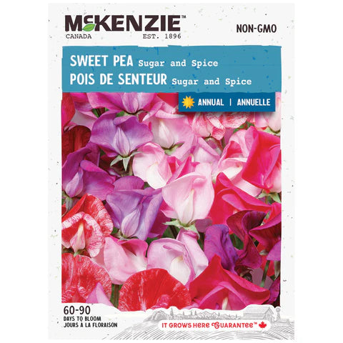 Semence - Pois de senteur Sugar and spice - Mckenzie