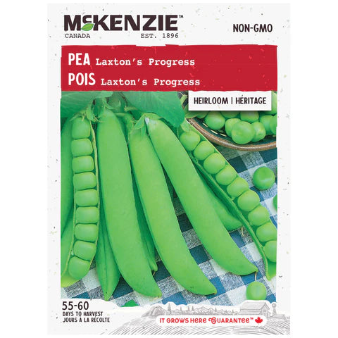 Semence - Pois Laxton's progress - Mckenzie