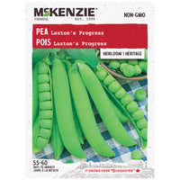 Semence - Pois Laxton's progress - Mckenzie